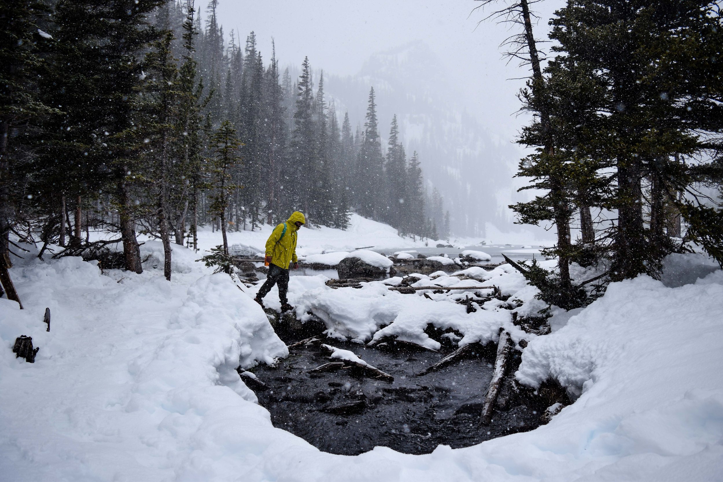 rmnp2.jpg