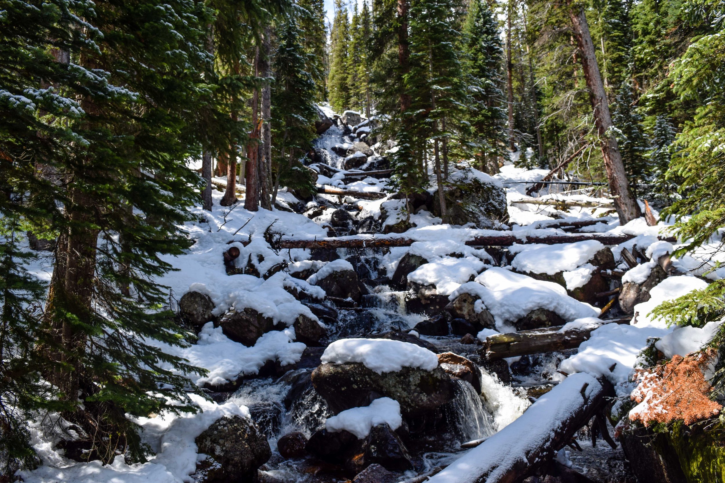 rmnp15.jpg