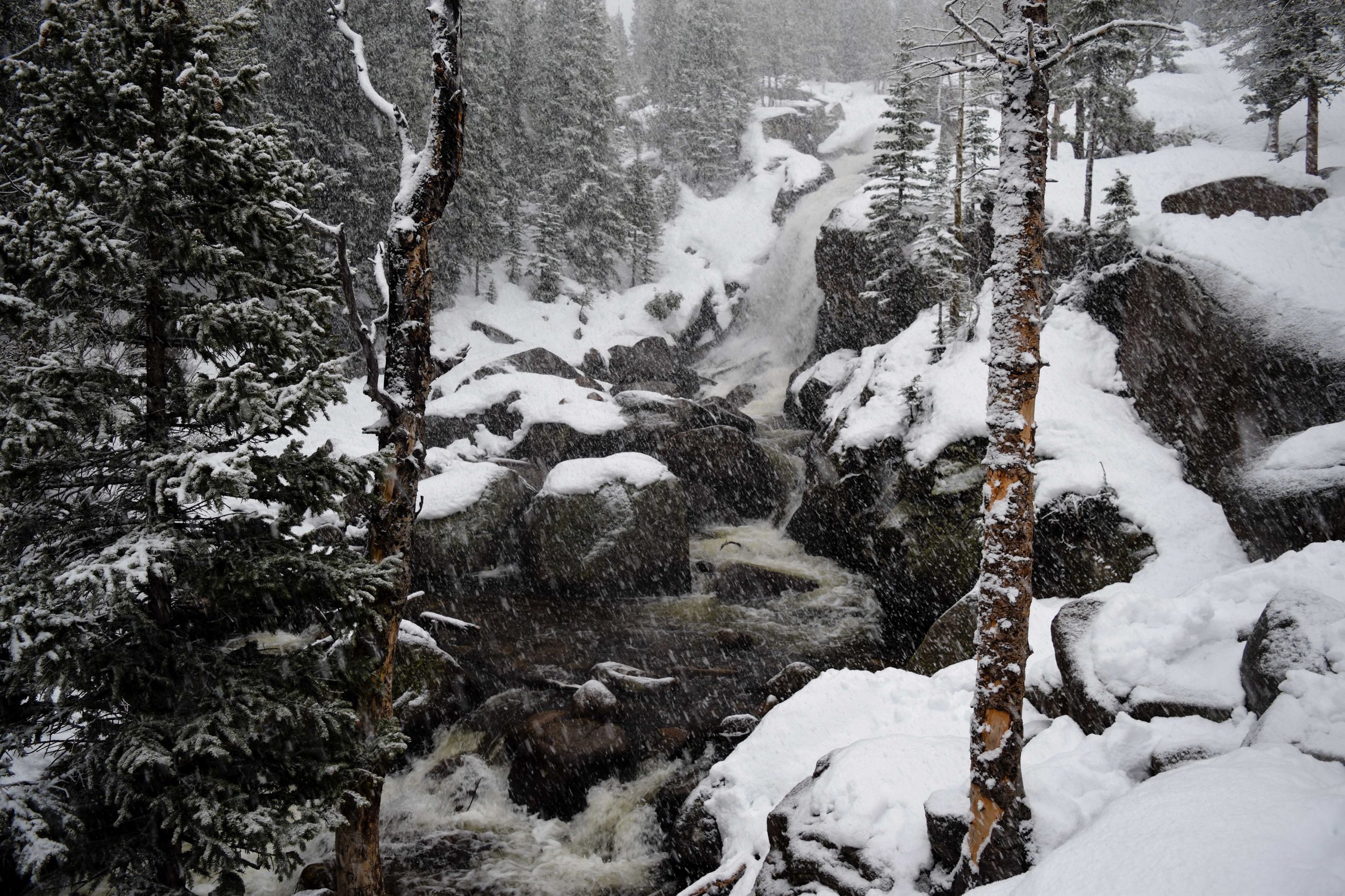 rmnp21.jpg