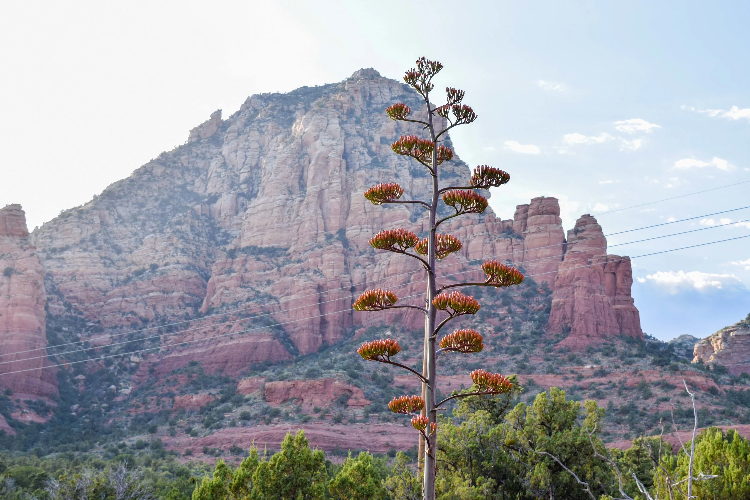 sedona1.jpg