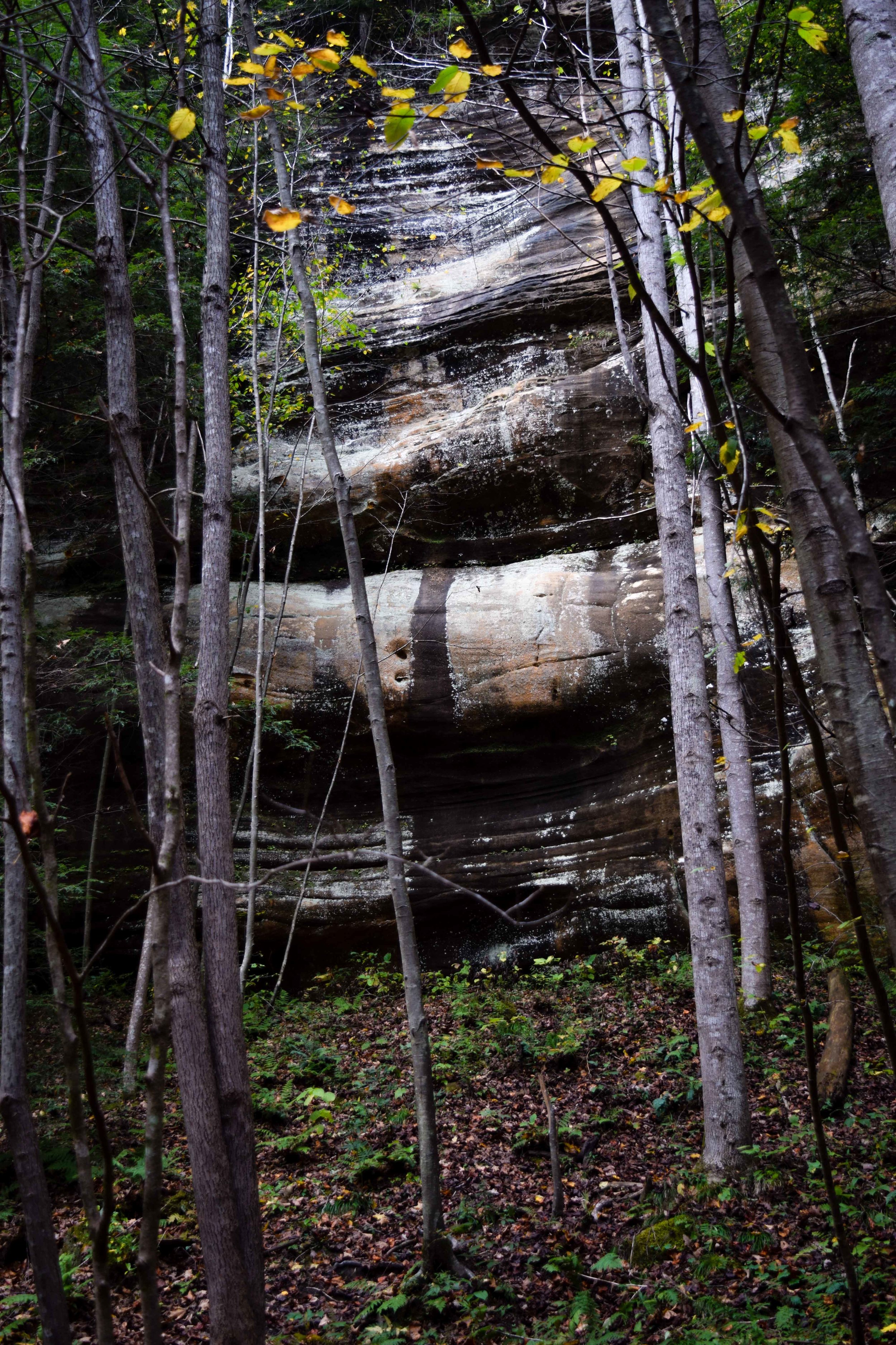 hockinghills12.jpg