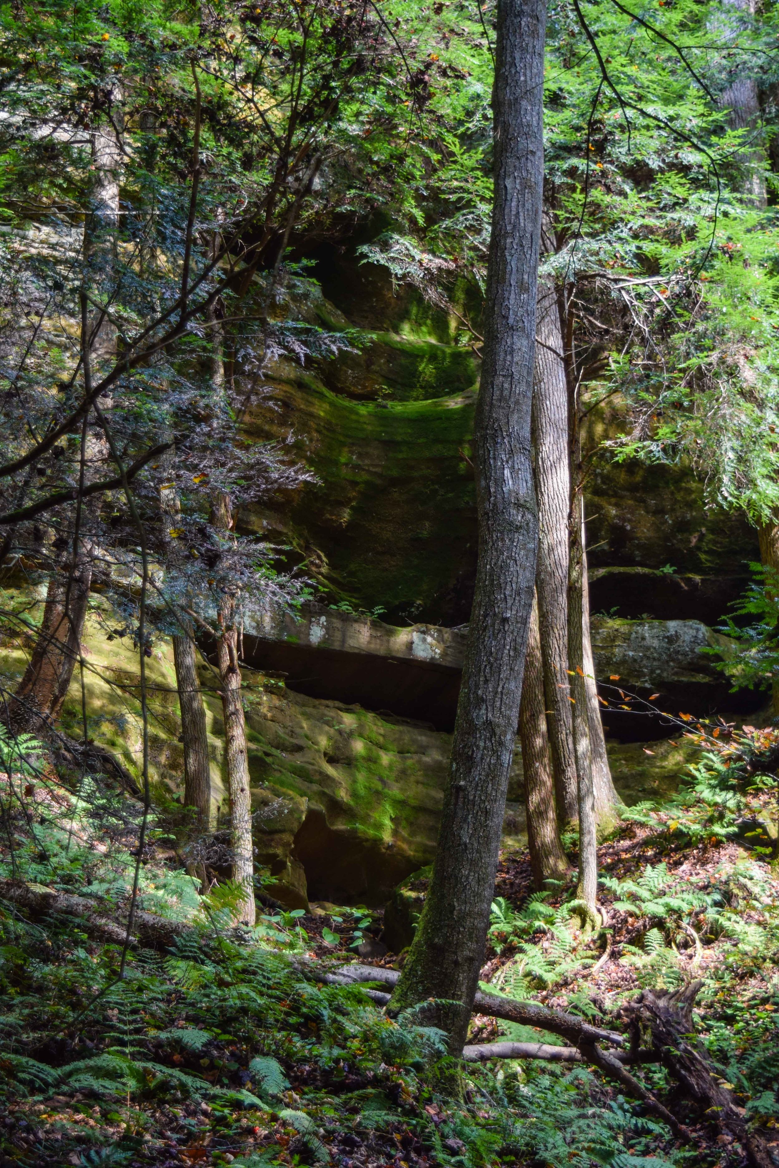 hockinghills18.jpg