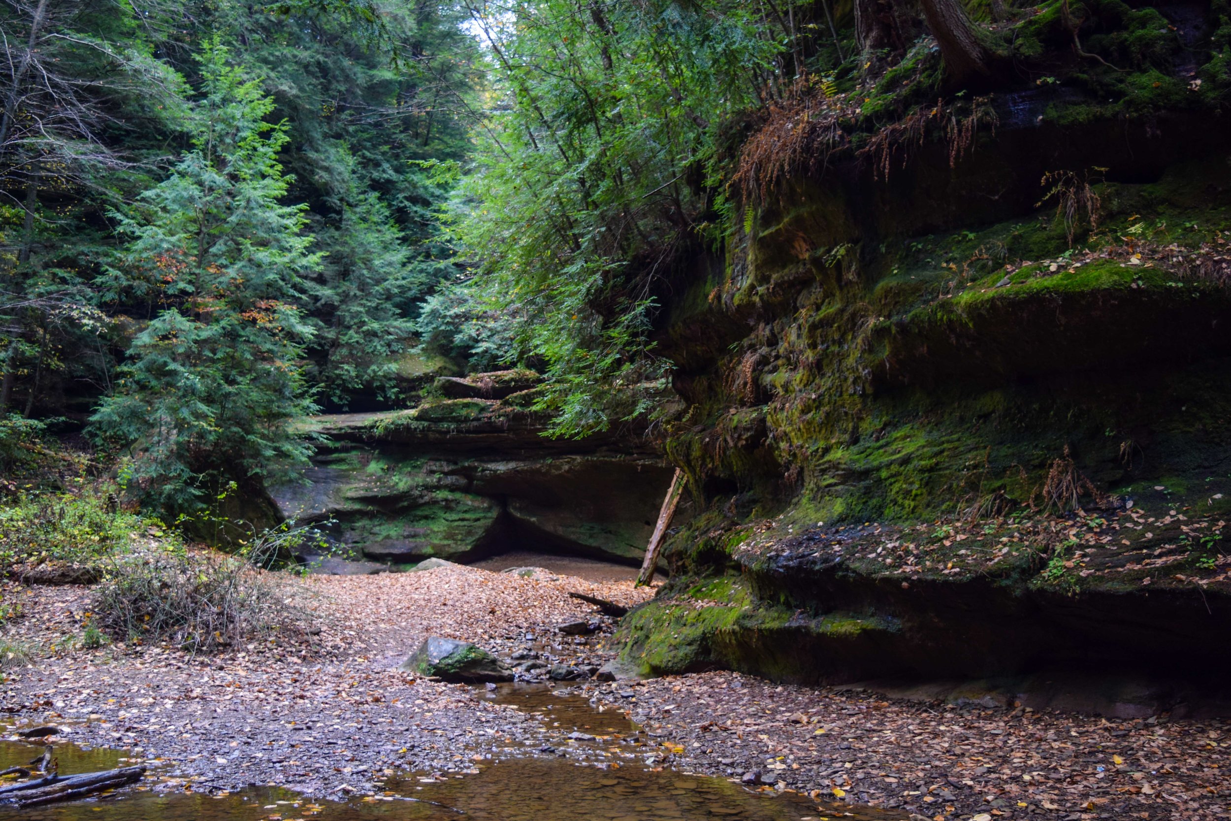 hockinghills7.jpg