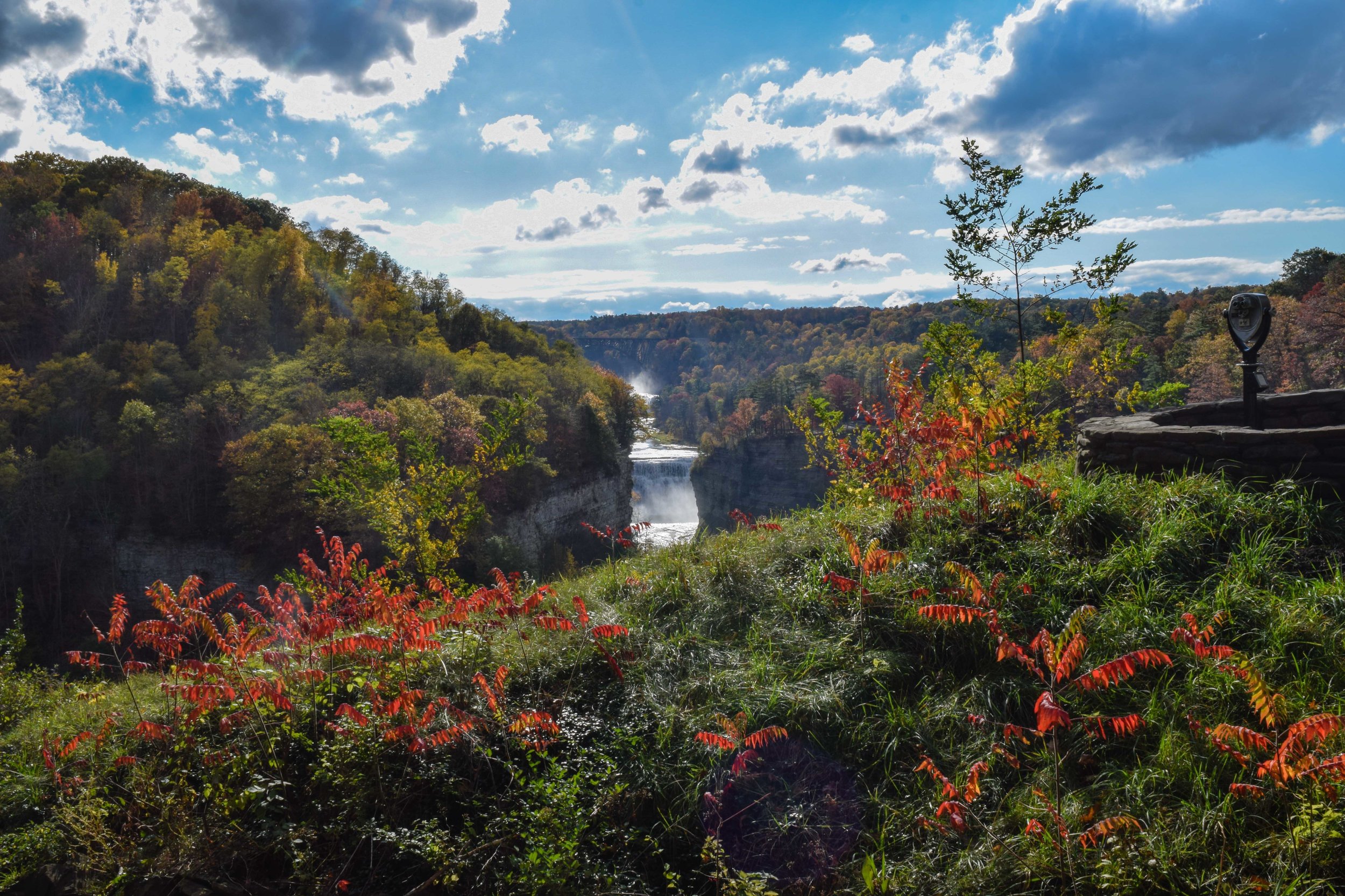 letchworth8.jpg