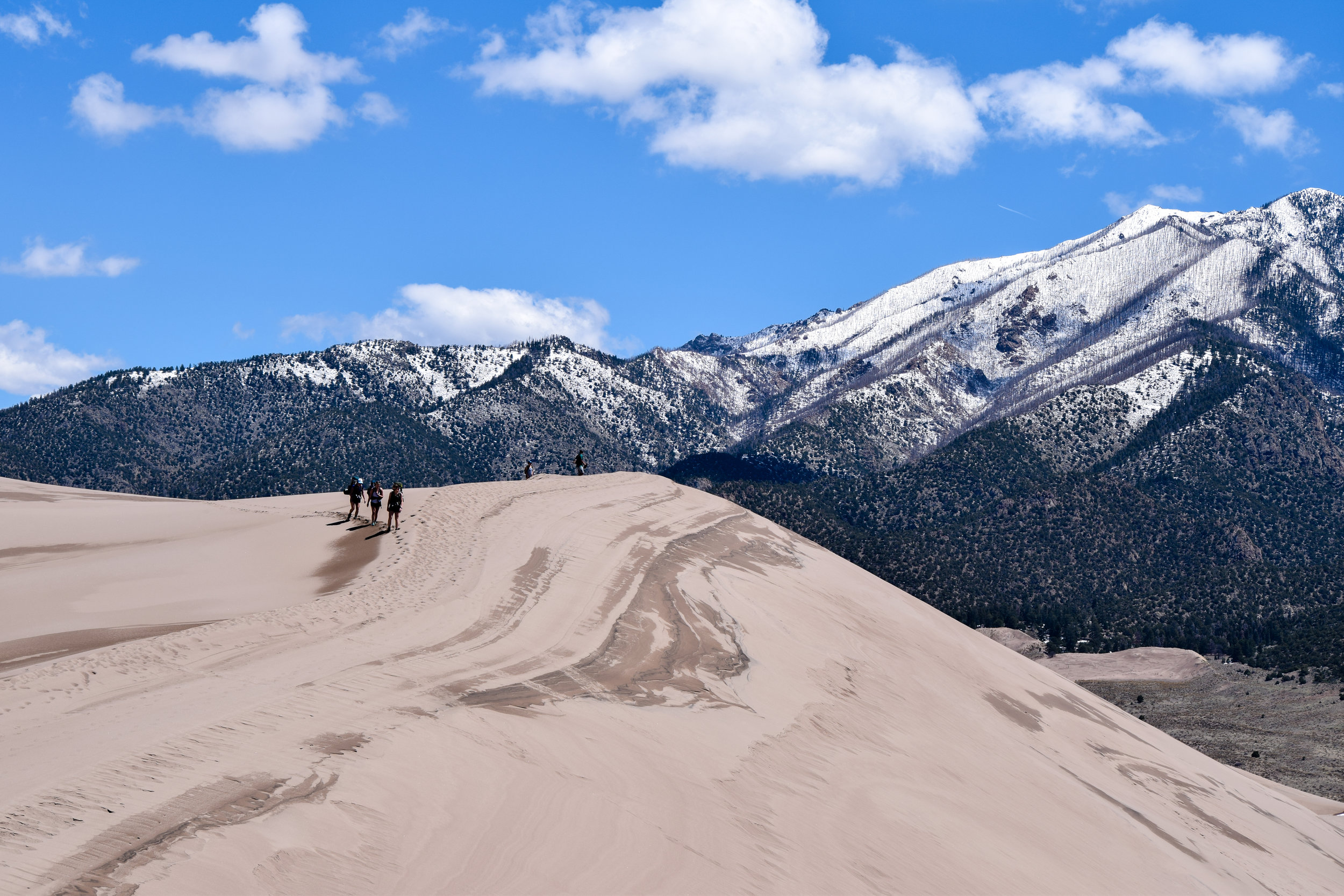 Sandboarding The Dunes.