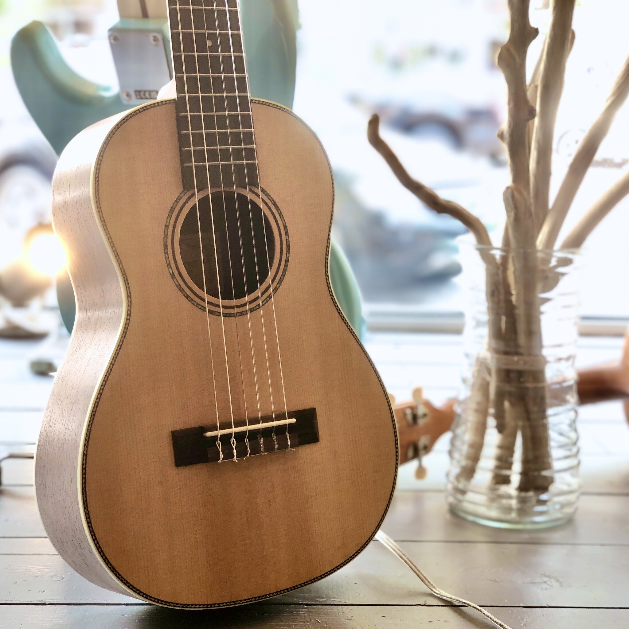 Ready for summer fun, it&rsquo;s the 6-String Baritone (AKA Guitarlele!) from Alvarez. This instrument is a great choice for players looking for a uke sized, travel guitar.  With 6 strings tuned A to A you have new sonic registers to explore, while a