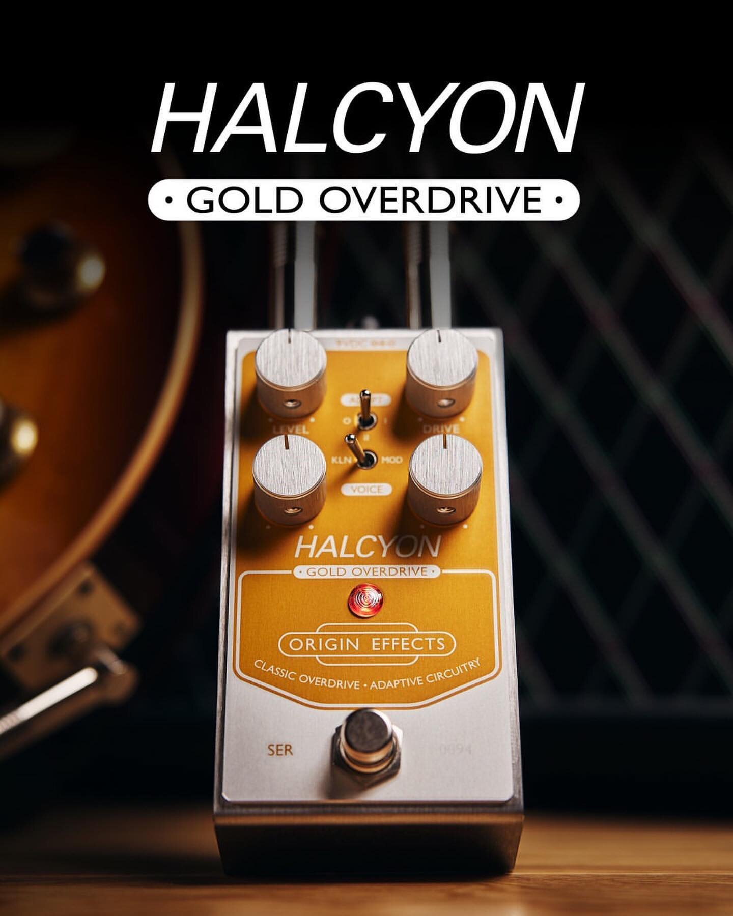 @origineffects has done it again! The new Halcyon Gold Overdrive is here! We&rsquo;ve sold through almost all of our stock already, but still have a couple left for in-store purchase only! Hit us up. 

Posted @withregram &bull; @origineffects Join us