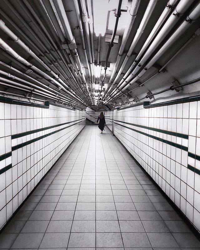 The Path
.
.
.
.
.

#shotoniphone #shotonmoment #iphonex  #nycgo #seeyourcity #metro #underground #architecturelovers #traveldiary #travelwriter #passionpassport #travelpic #urbanphotography #travelphotography #travelgram #traveler #worldplaces #just