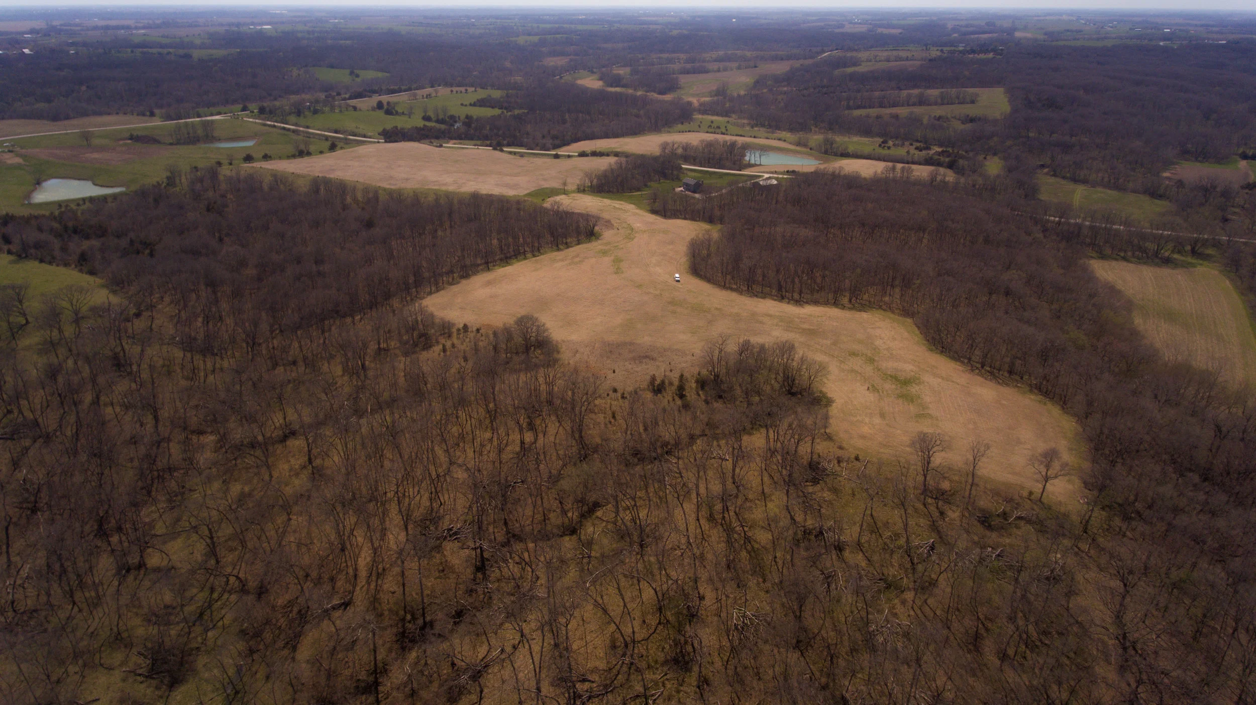 VirgaAve55acres-80.jpg