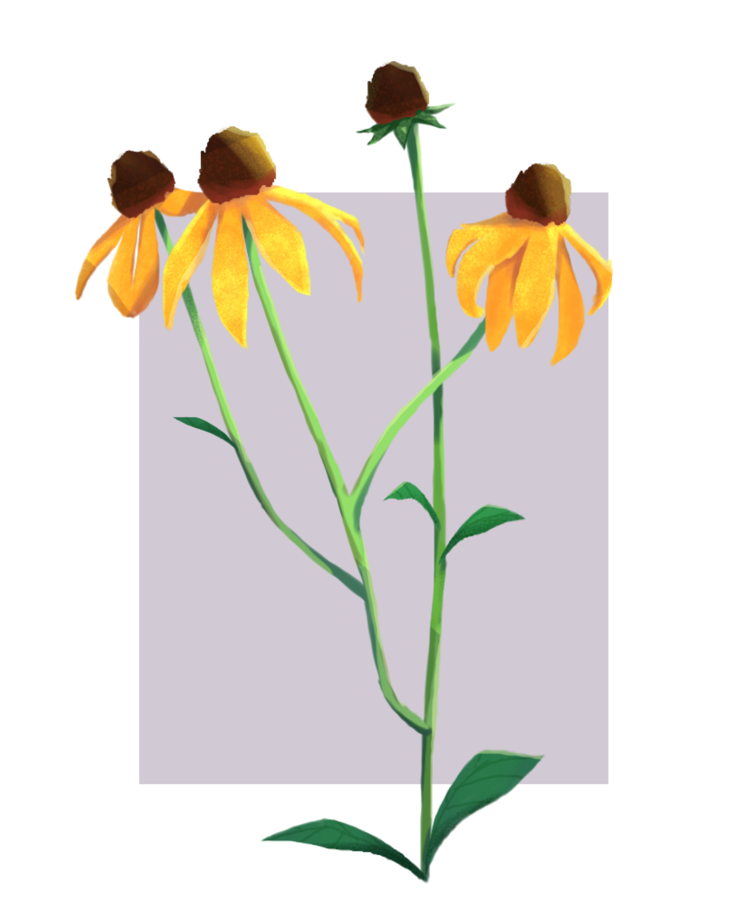 Flowers.png