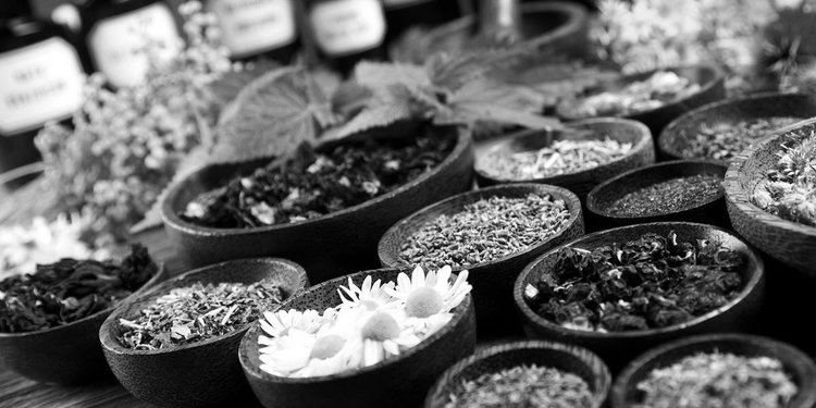 naturopathy.jpeg