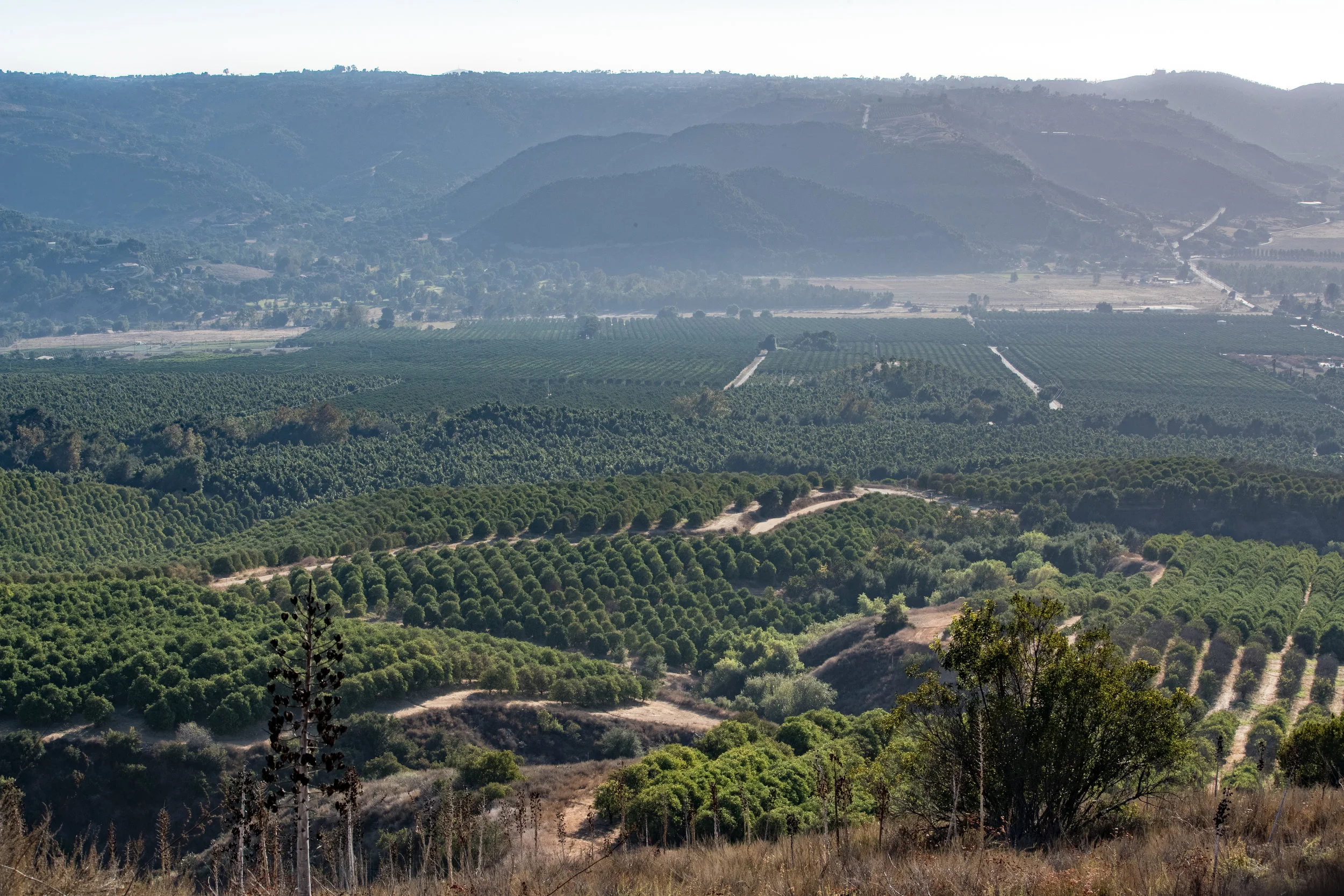 Solidarity_Farms_SS-14.jpg