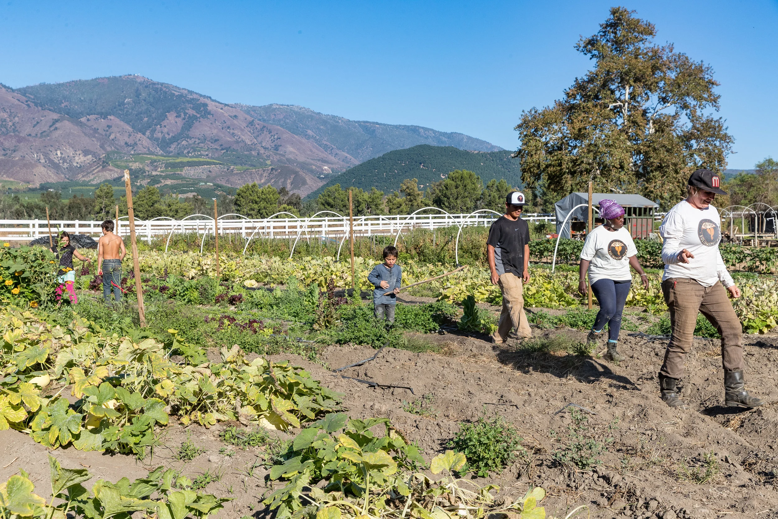 Solidarity_Farms_SS-9.jpg