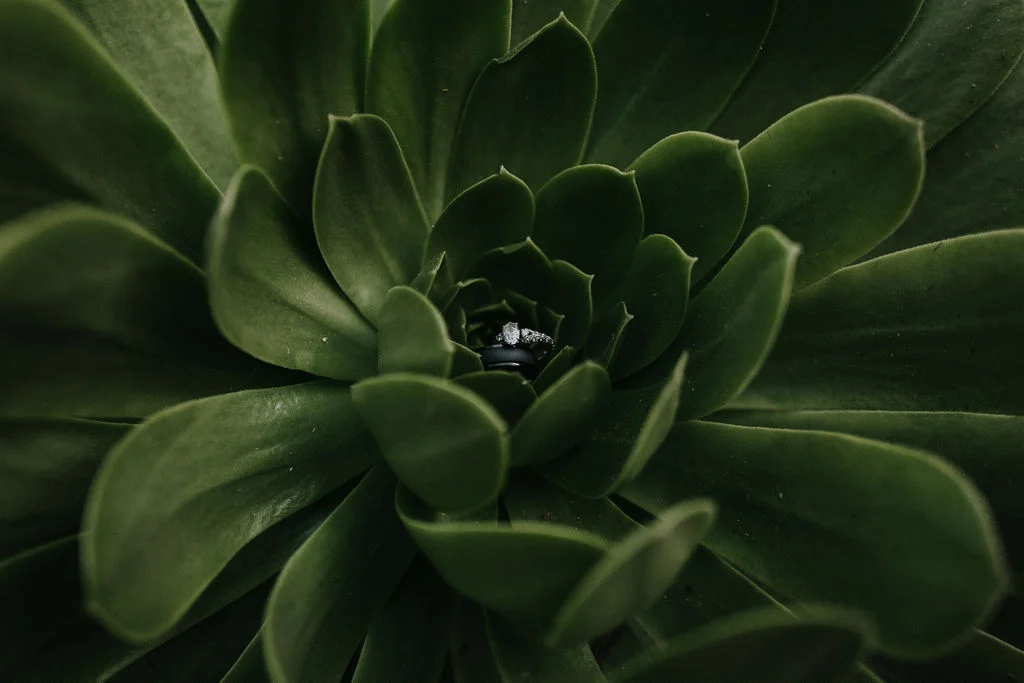 untitled(22of1).jpg