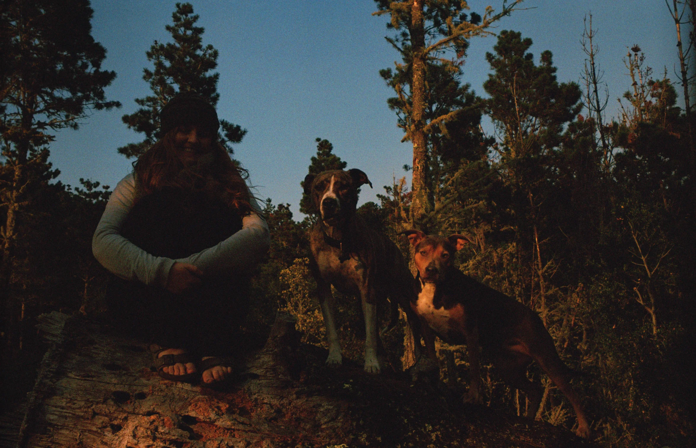 Tribe in Inverness, California