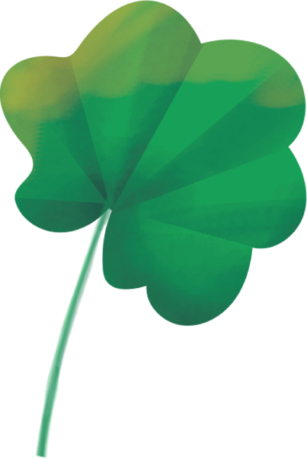 mallow illustration haviva seligson