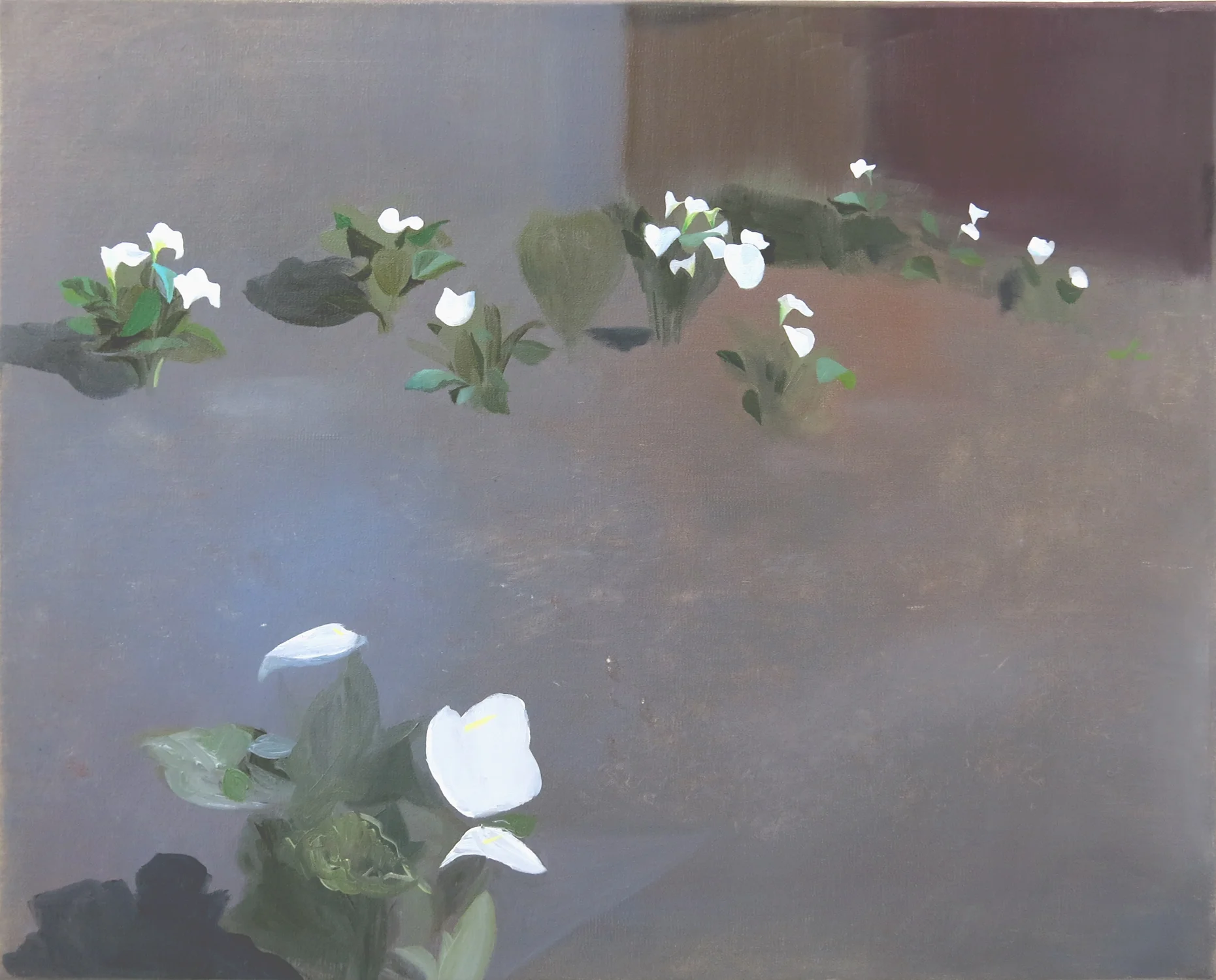 Lilies 2015, oil on canvas, 40 x 50cm