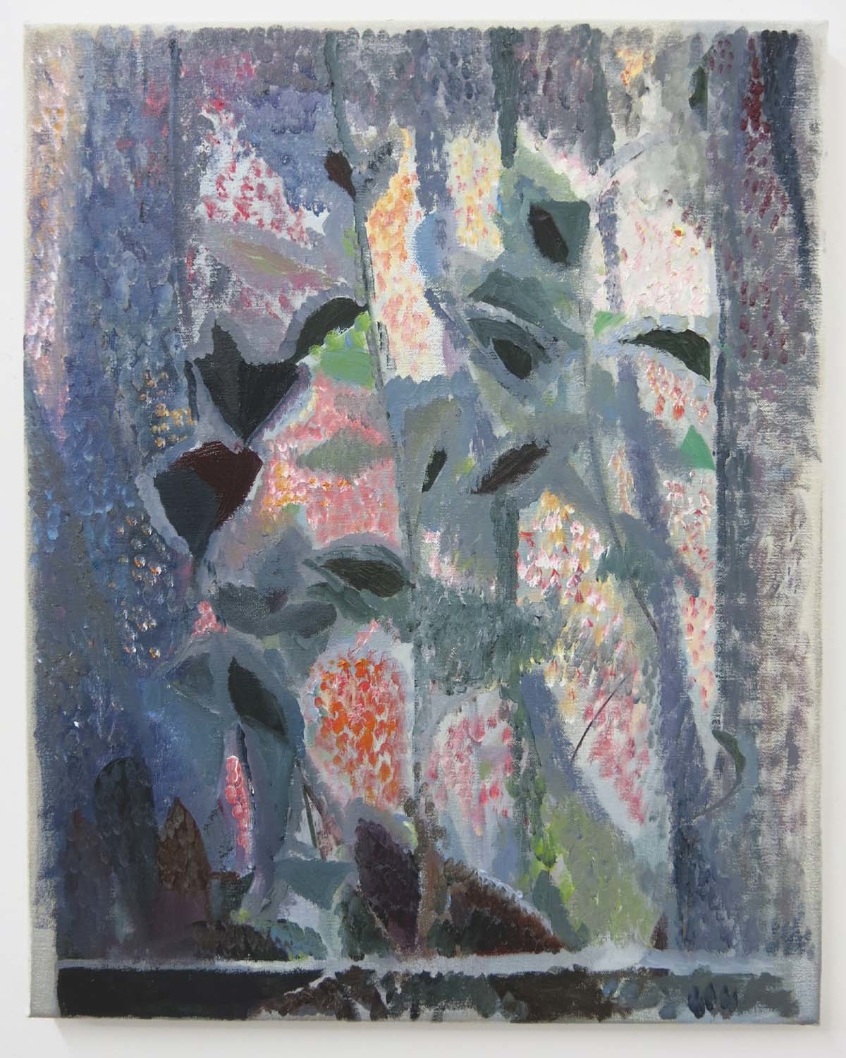   Night Plant &amp; Blind    2017, oil on canvas, 50 x 40cm  