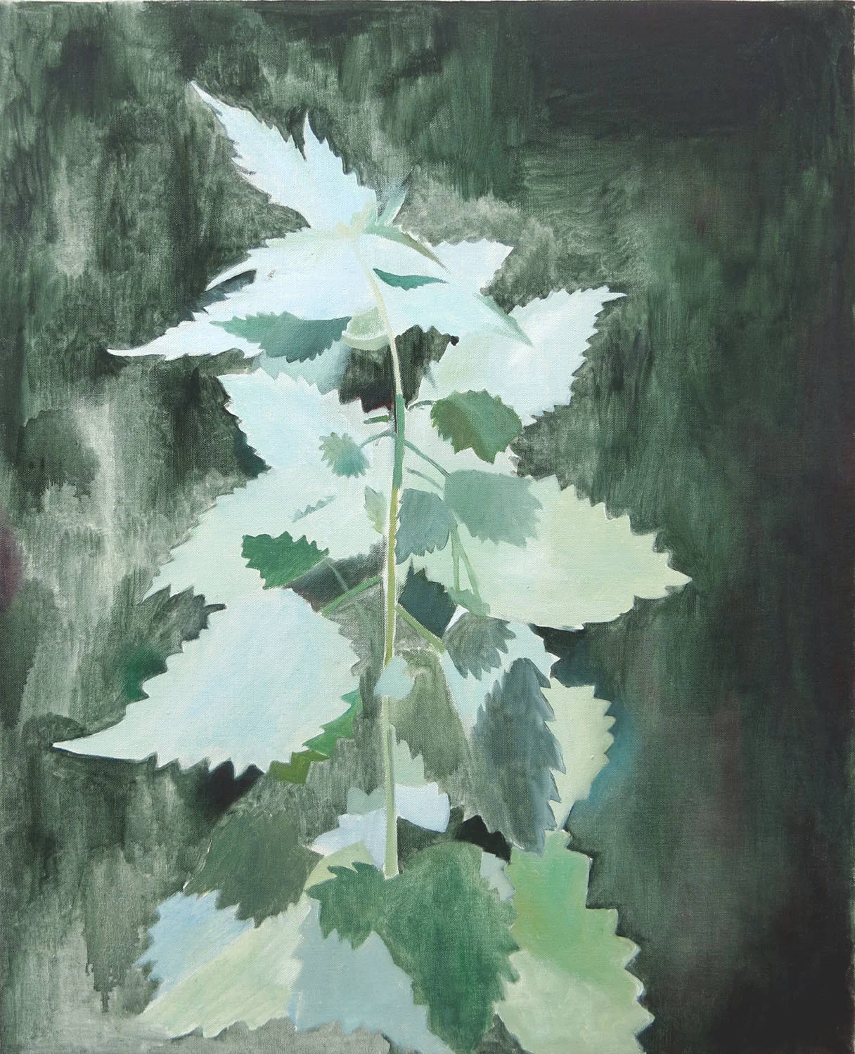 2018, oil on line, 56 x 46cm