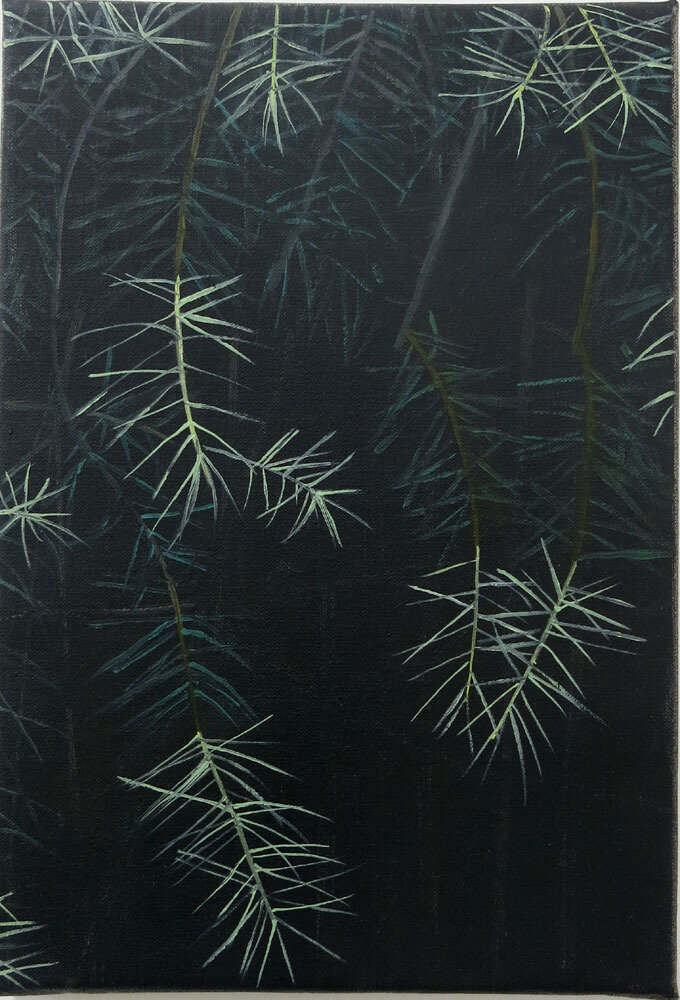   Needles    2019, oil on canvas, 35 x 25cm  