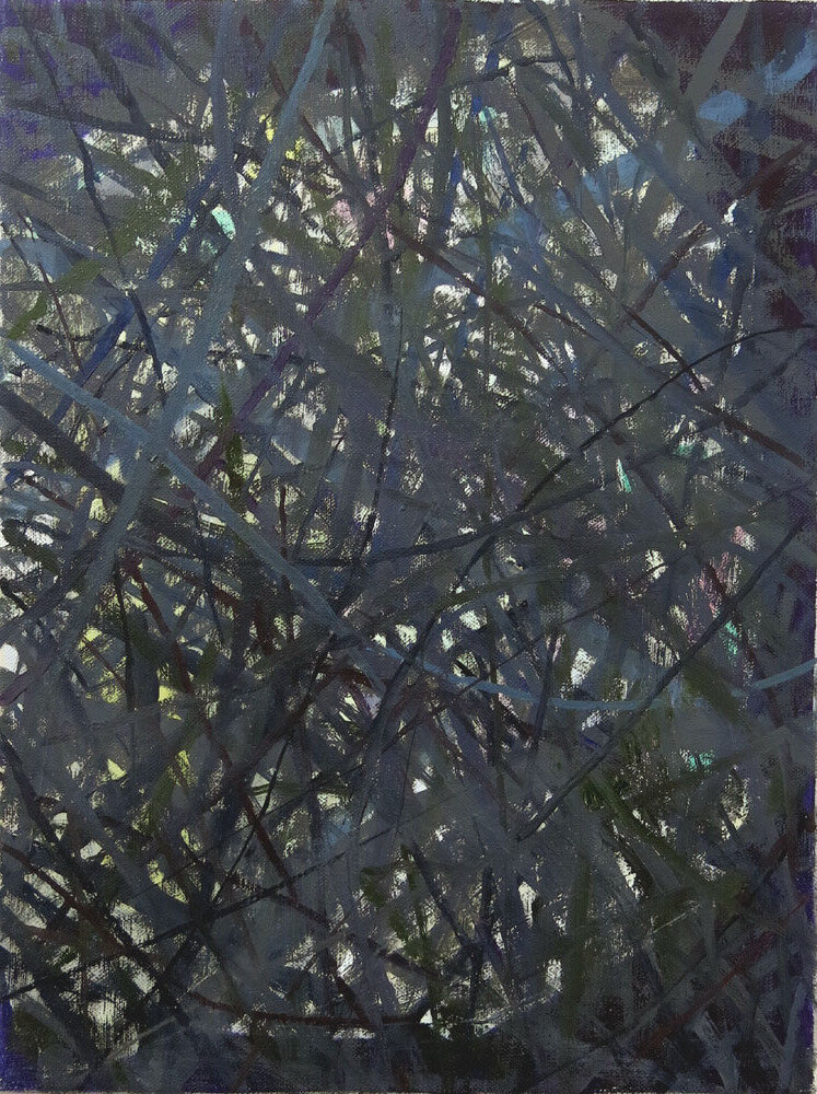   Branches    2019, oil on canvas  