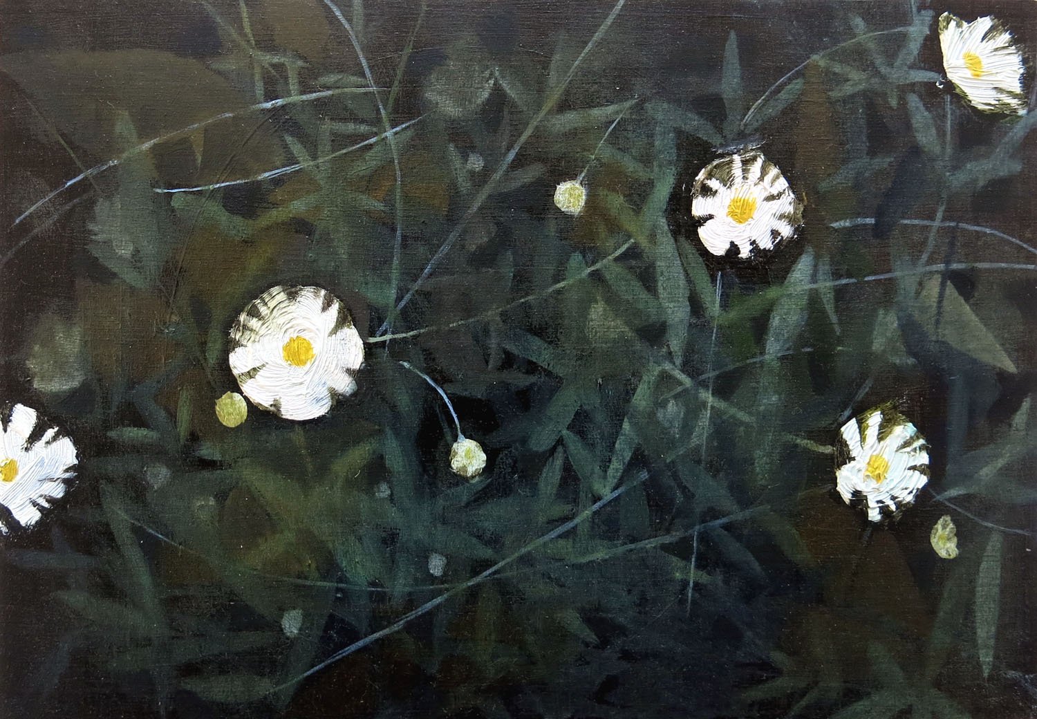   Autumn Daisies    2021, oil on board, 15 x 21cm    