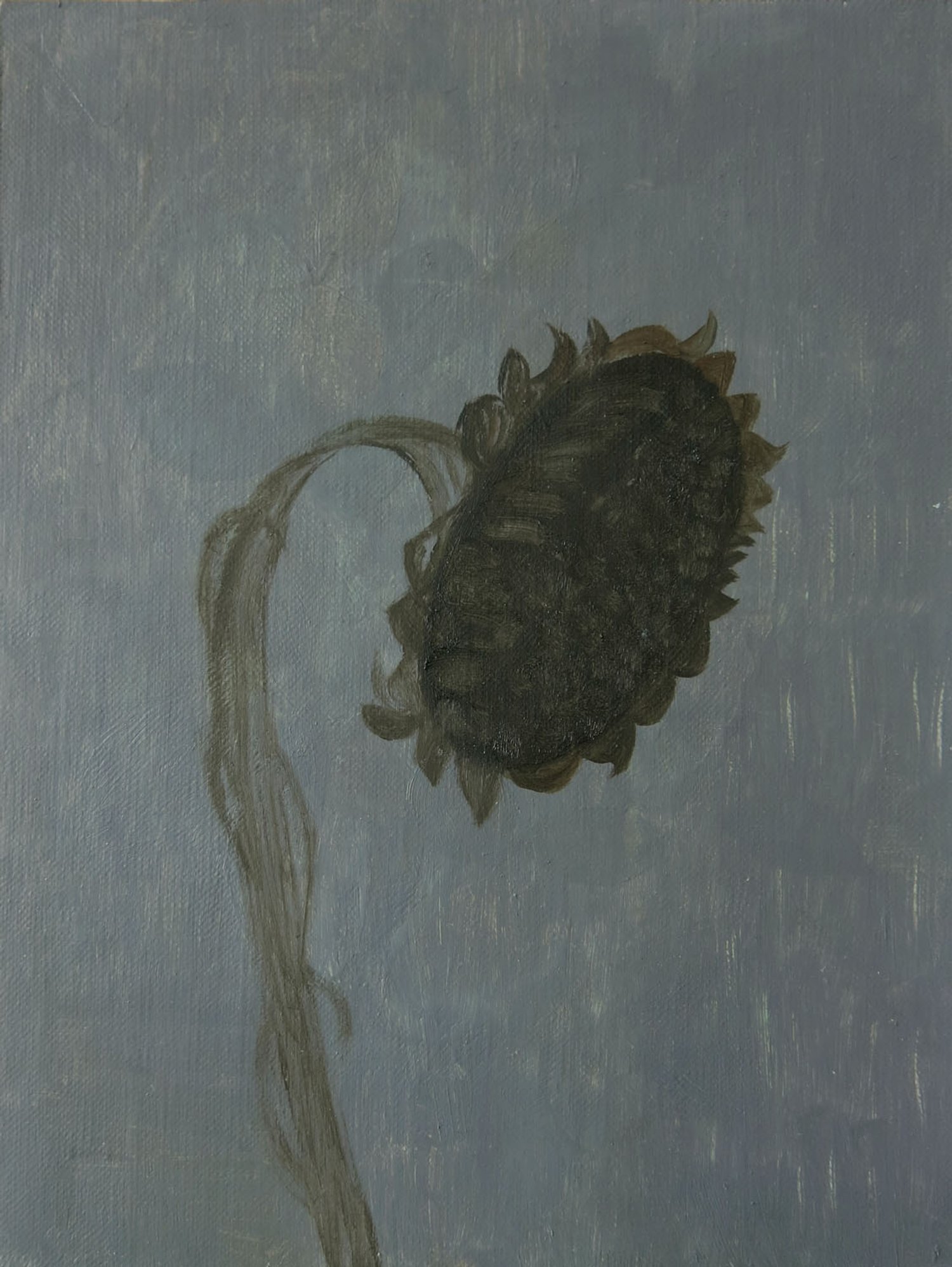   Sunflower    2021, oil on board  