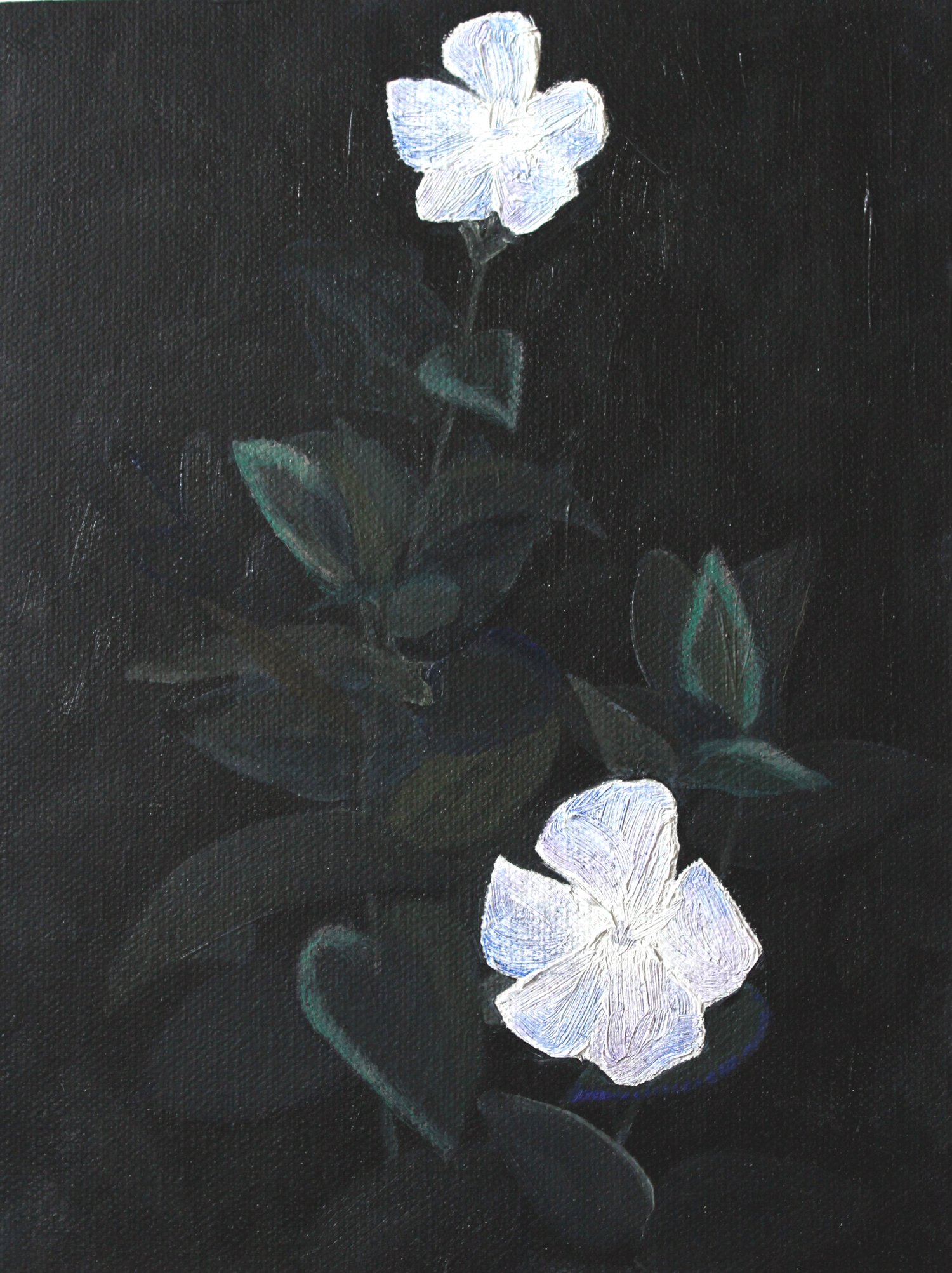   Two Flowers    2021, oil on canvas board, 24 x 18cm  