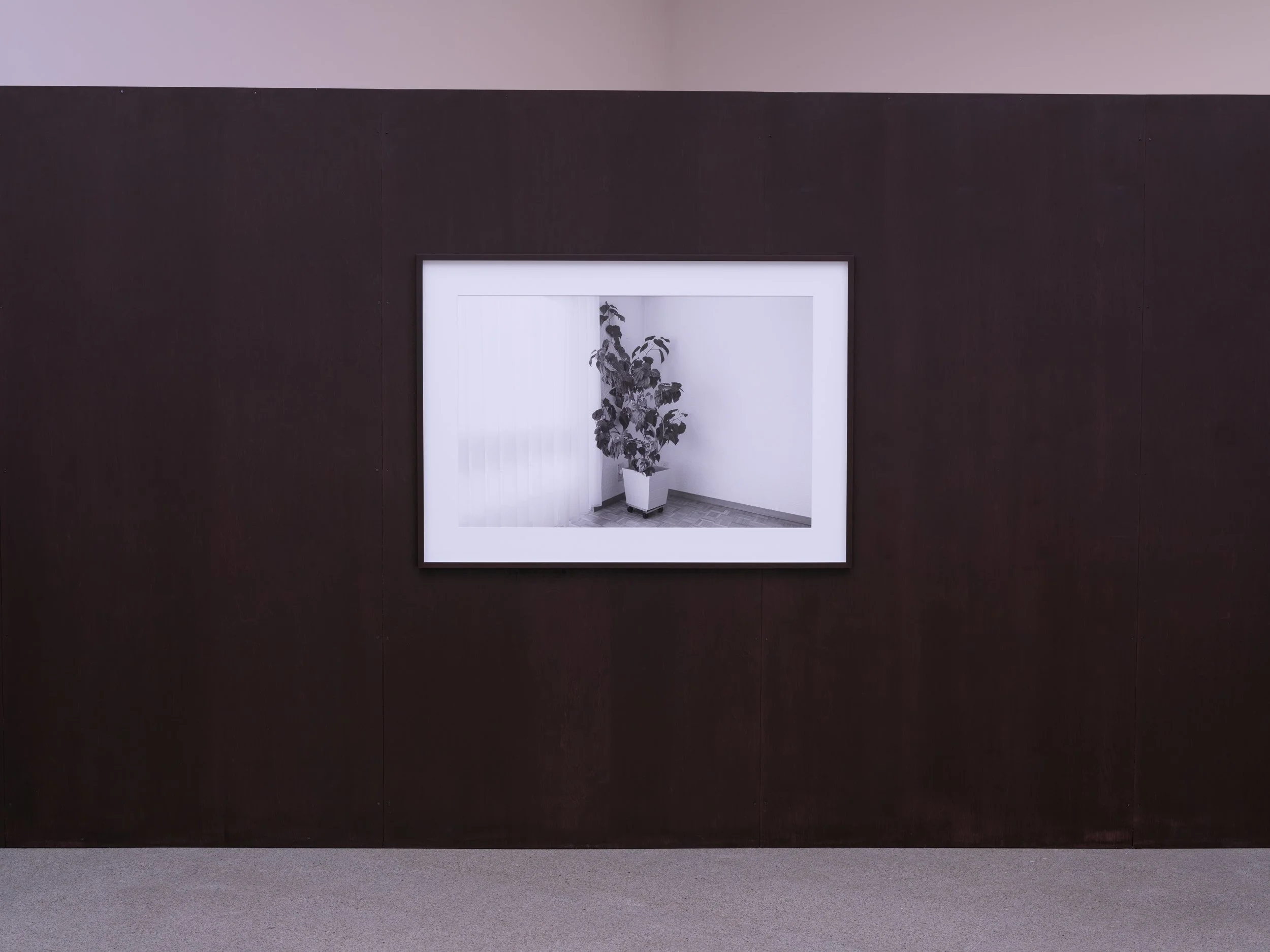 kbcb_Anita Mucolli_photoLeaKunz_web_6.jpg