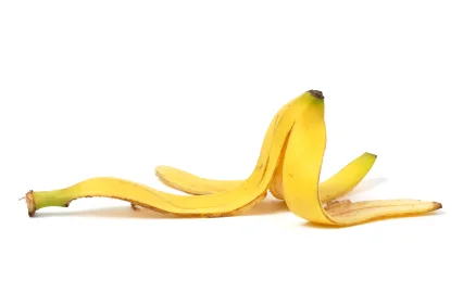 Banana-Skin.jpg