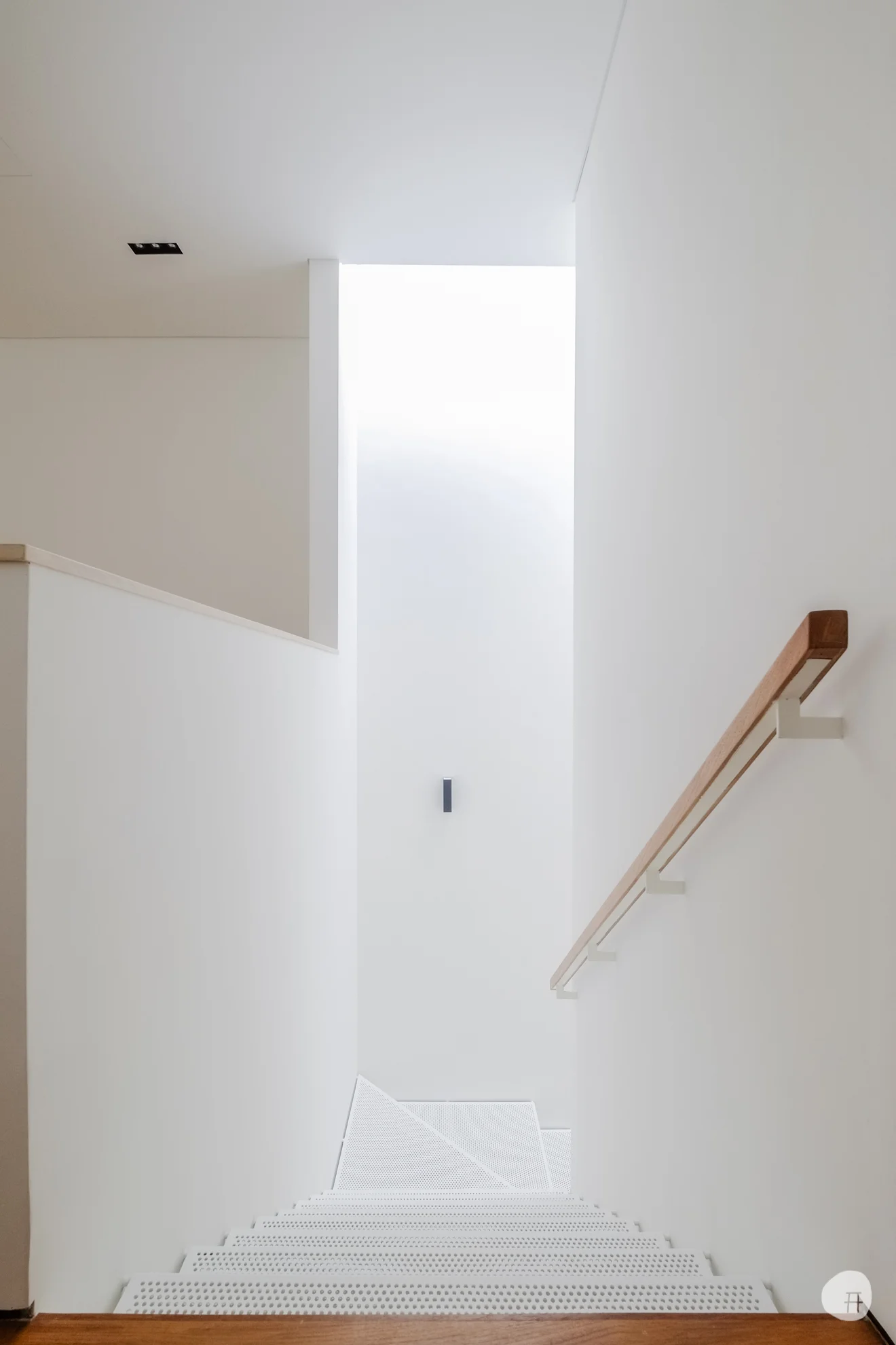 DSCF6295.jpg
