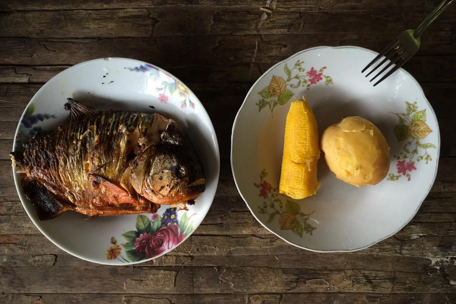 From the Amazon, Peru — Killer Fish for Breakfast in the Amazon (Read at Roads & Kingdom s)