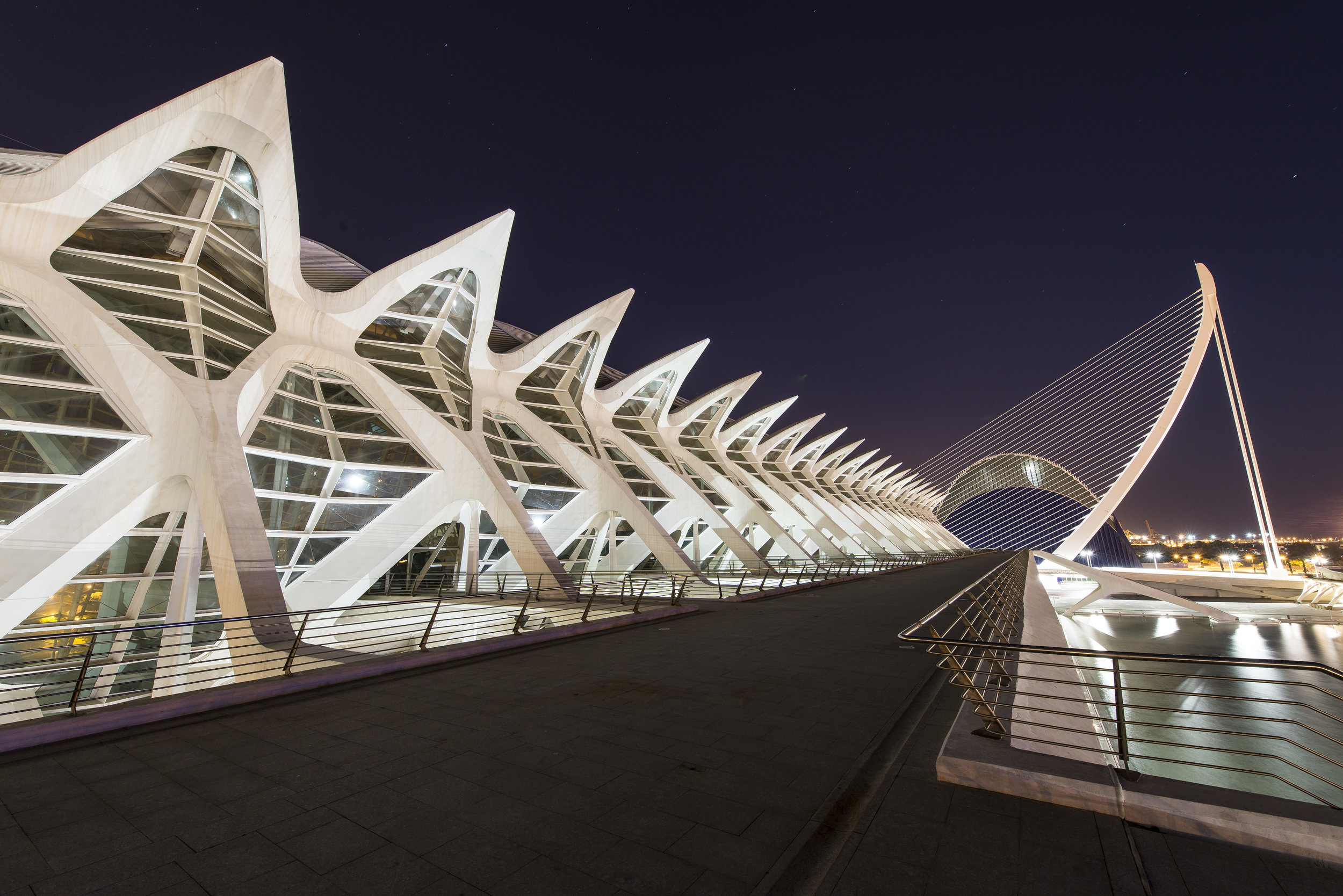 City of Arts and Sciences - Santiago Calatrava - Valencia Spain for ANWB Reiz& magazine