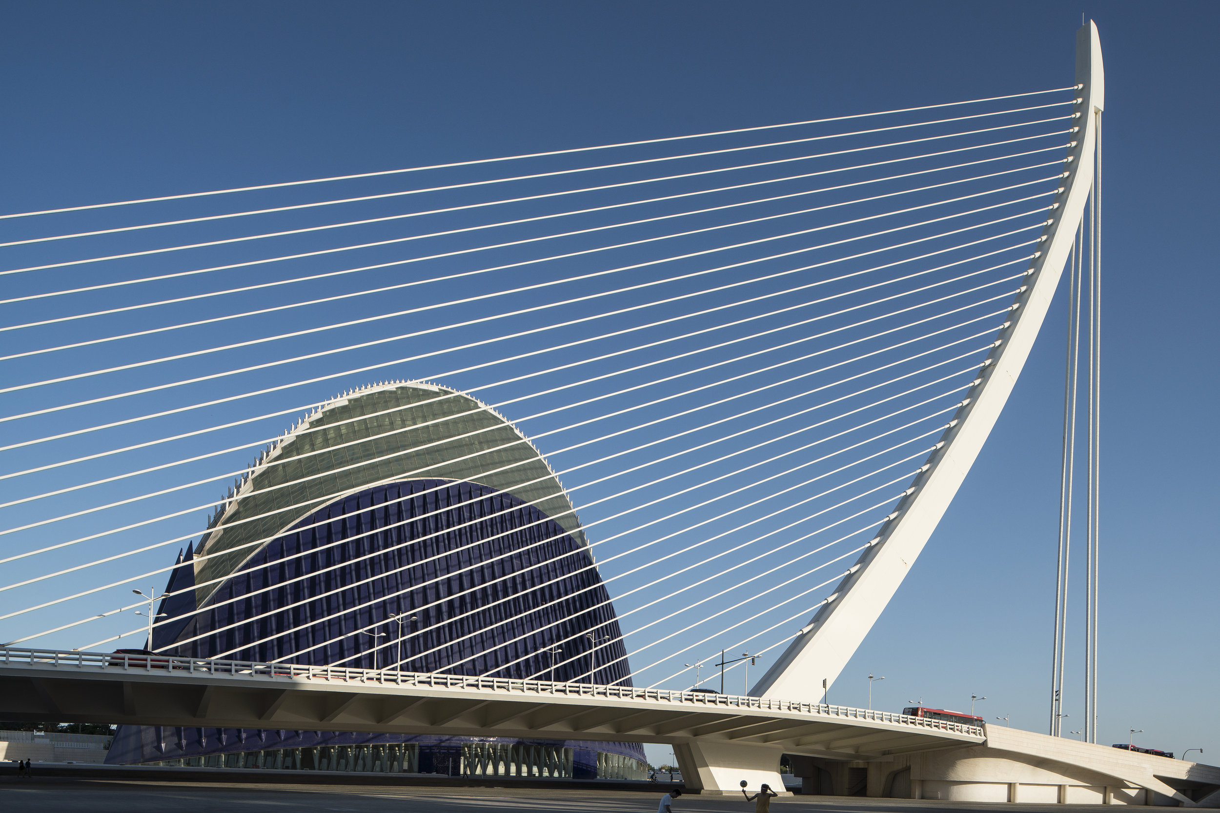 City of Arts and Sciences - Santiago Calatrava - Valencia Spain for ANWB Reiz& magazine