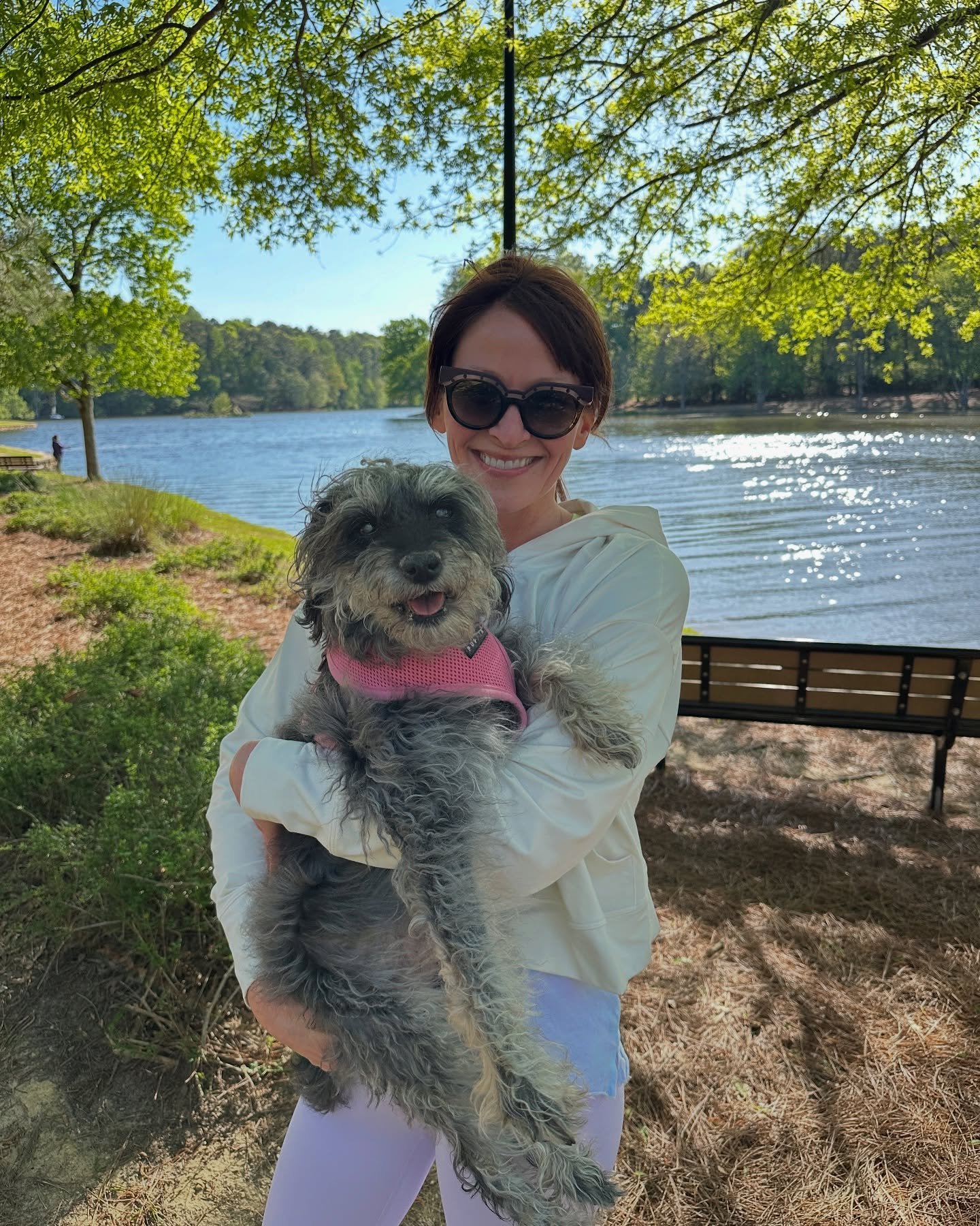 Hardest thing we&rsquo;ve ever had to do&mdash; say goodbye to our scruffy little Begonia.🩷🌸 For 17 years she&rsquo;s been our little ride-or-die, always by our side through every season, every move, every joy, every heartbreak&hellip; always ready