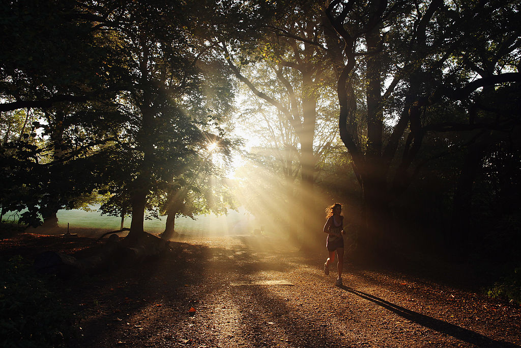 Hampstead Highgate physiotherapist