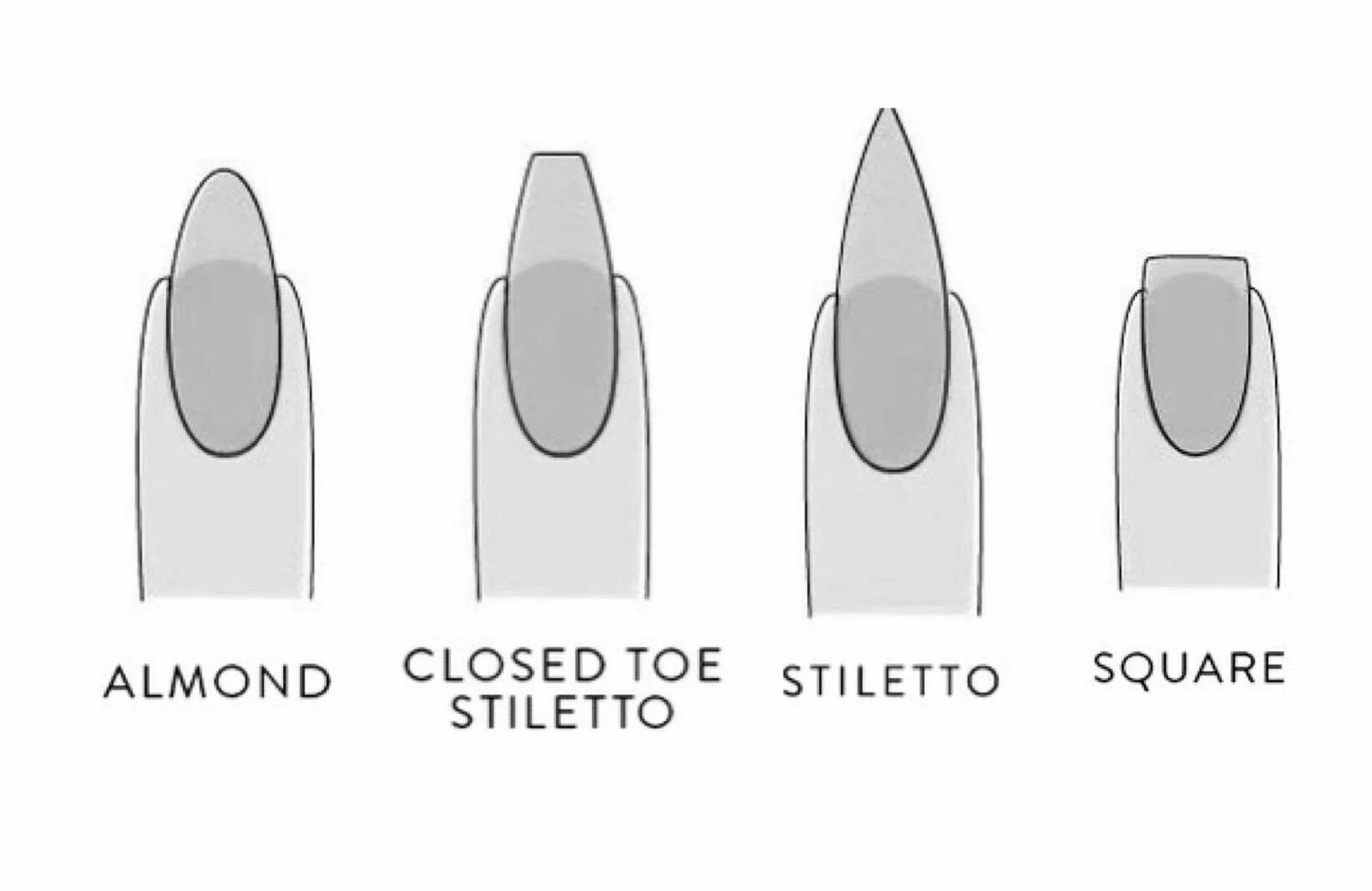 shape.jpg
