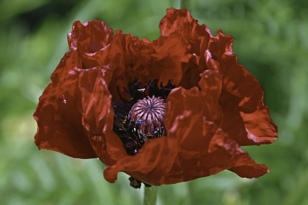 309-0595.jpg