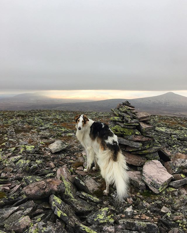 🦄🌄