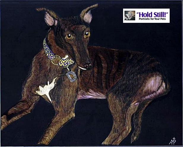 greyhound scratchboard web version.jpg