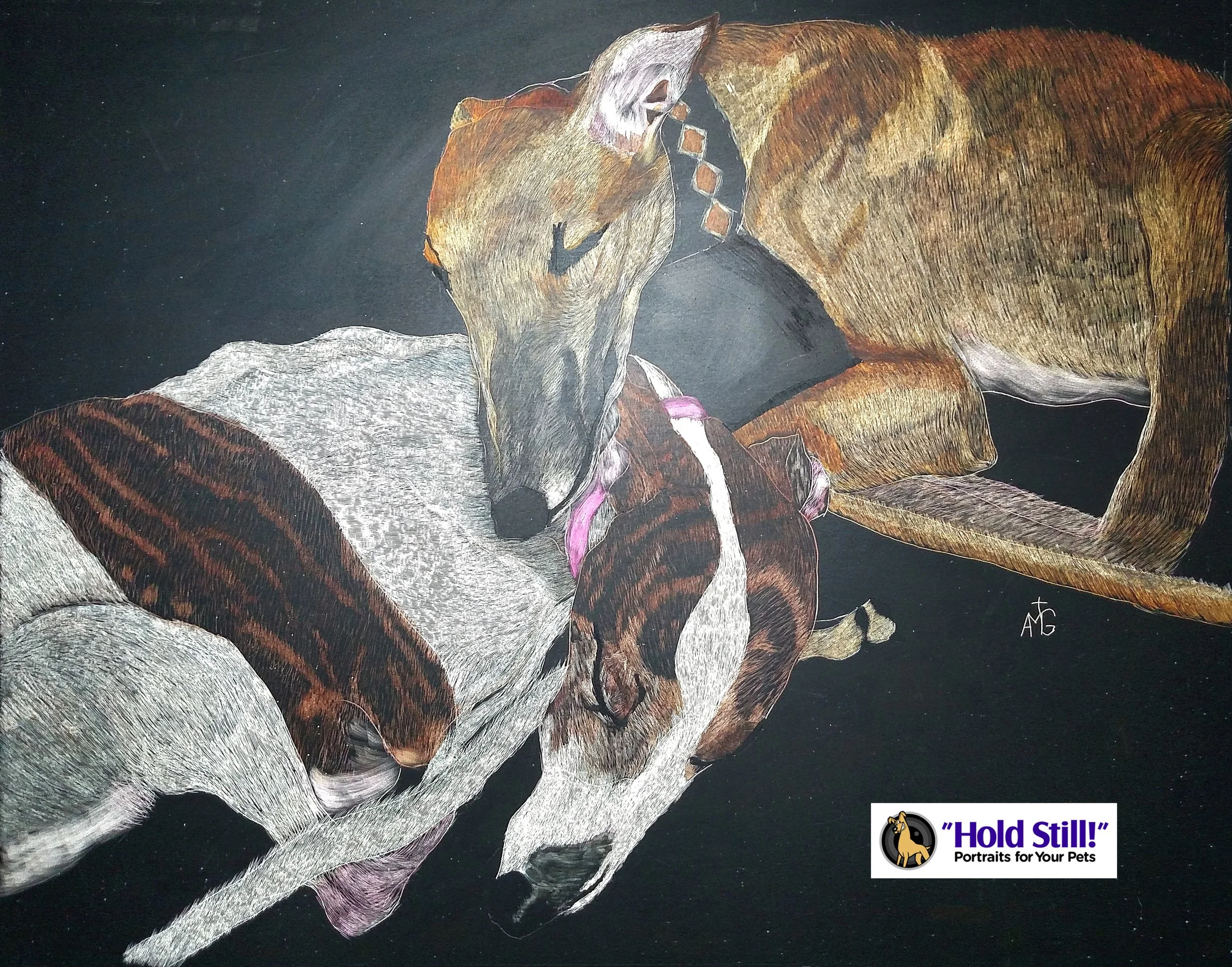 huckroamer scratchboard web image.jpg