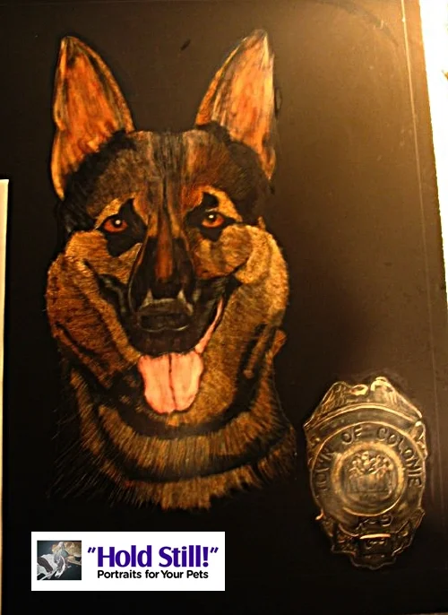 shepherd scratchboard web version.jpg