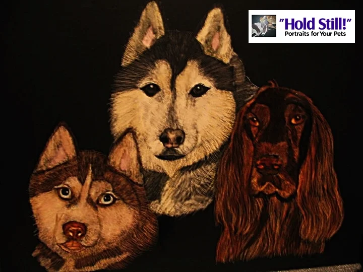 trio scratchboard webversion.jpg