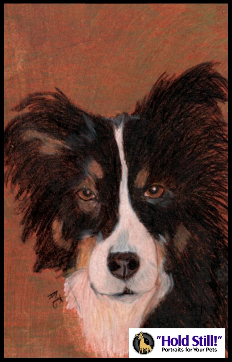 Australian Shepherd Soul Window web version.jpg