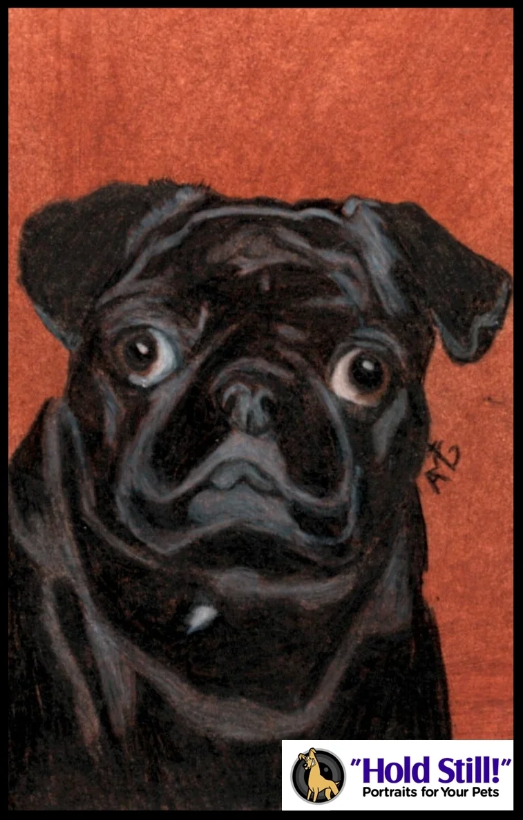 Black Pug Soul Window web image.jpg