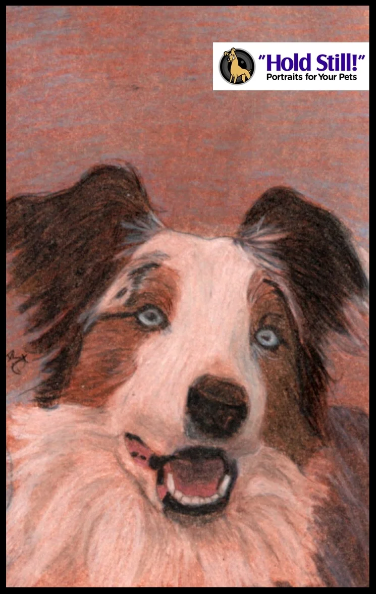 Border Collie Soul Window web version.jpg