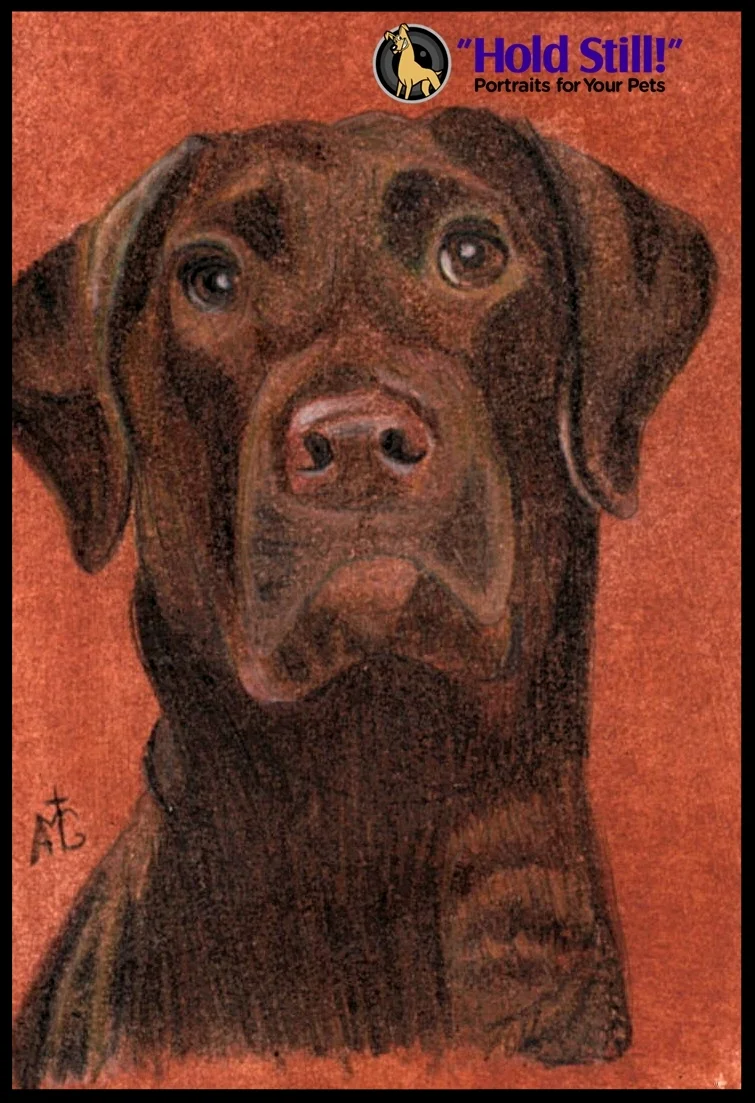 Chocolate Lab Soul Window Web Version.jpg