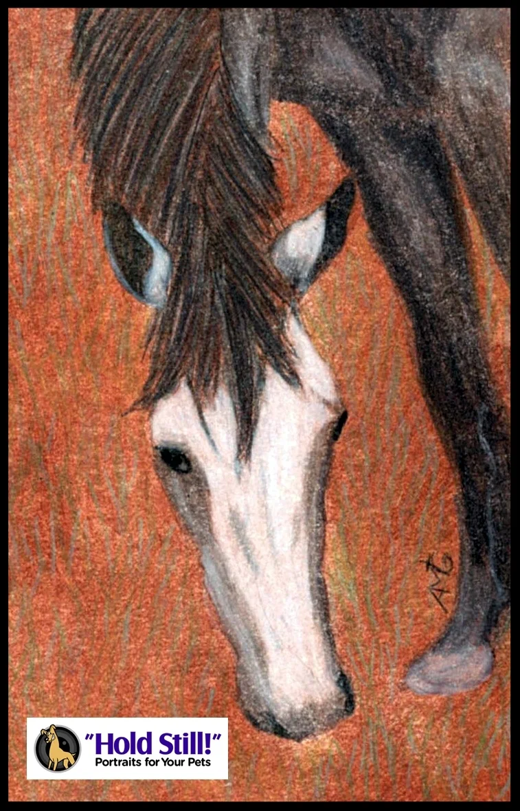 Grey Horse Soul Window Web Image.jpg