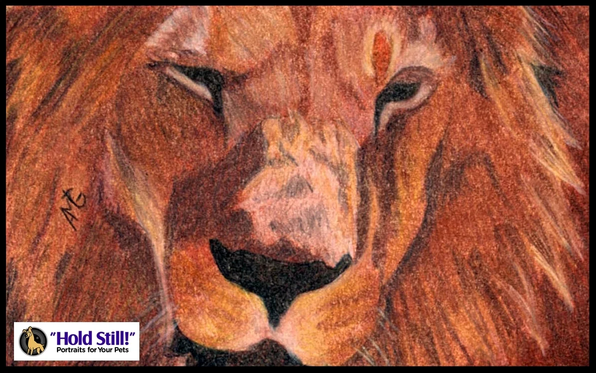 Lion Soul Window Web Image.jpg