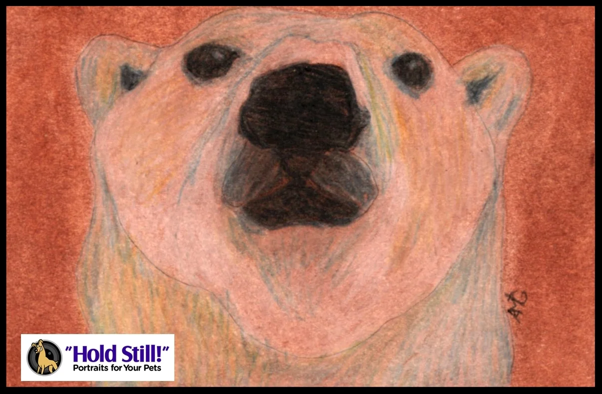 polar bear soul window web version.jpg